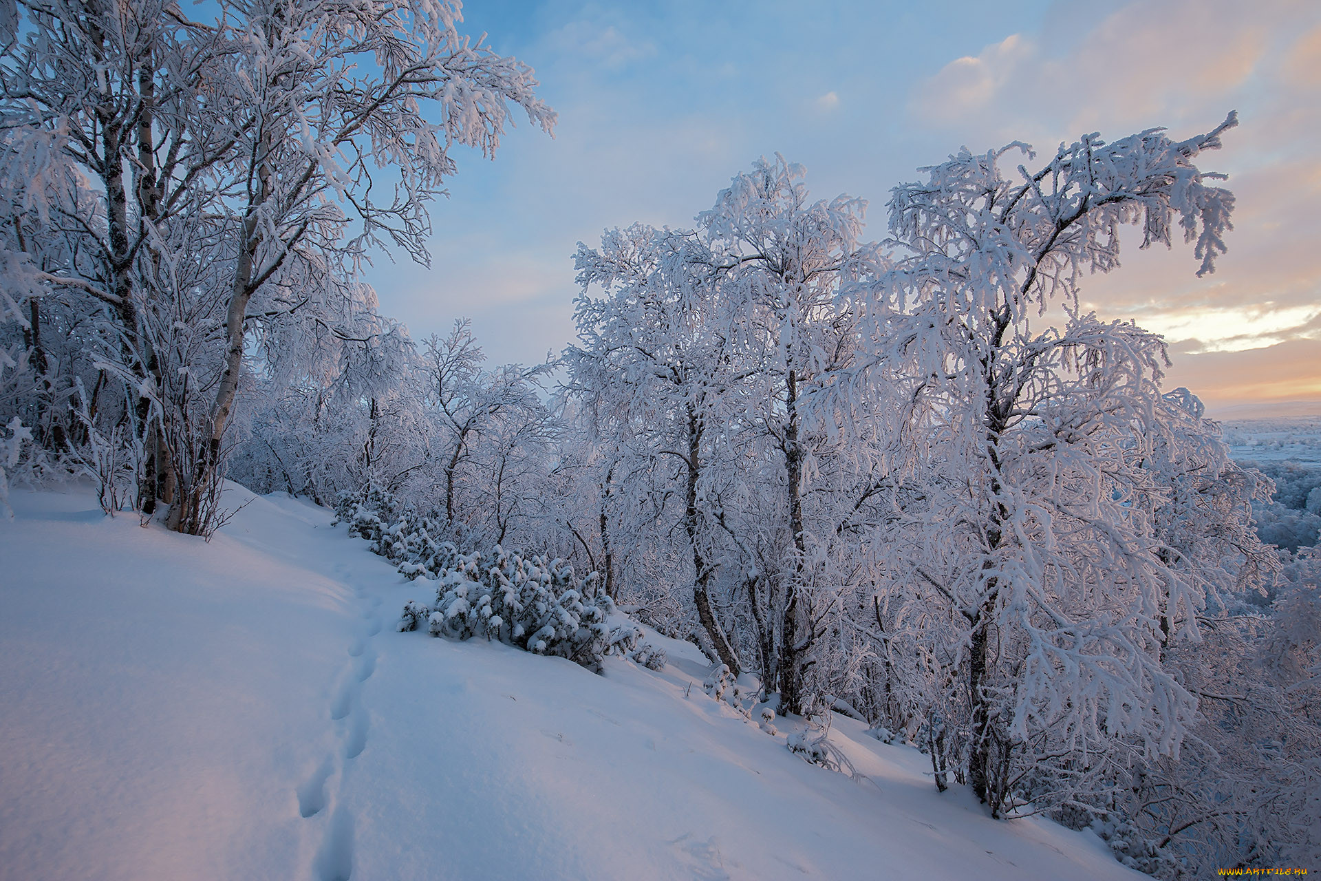 , , finland, lapland, , , , 